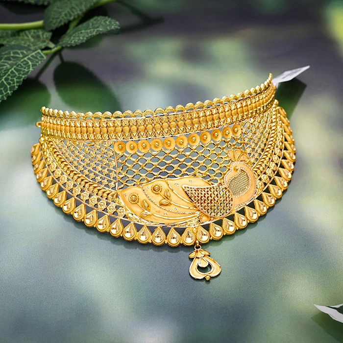 Peacock Elegance Gold Choker-NCCS0770 SU2EA1 - Image 2