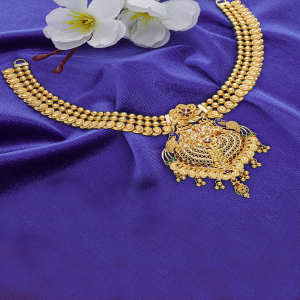 Multi Karigari Necklace