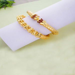 Harmony in Enamel Hollow Bangles-1060009567811AA S313