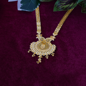 Radiant Reverie Long Gold Necklace-1060010122641AA S252